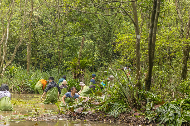 Arbeiten im Wasser…(Foto: TEIA)