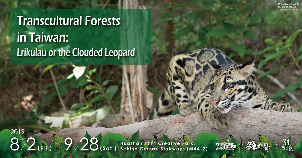 Dr. Po-jen Chiang arbeitete mit Scientific American Taiwan und Yu Shih-Hsuan (Shueni) als Kuratorin der Ausstellung „Transkulturelle Wälder“ zusammen, die den Menschen zeigt, wie man Berge als transkulturellen Raum sieht. Der Nebelparder wird in der Rukai-Sprache Lrikulau genannt. (Foto: Po-Jen Chiang)