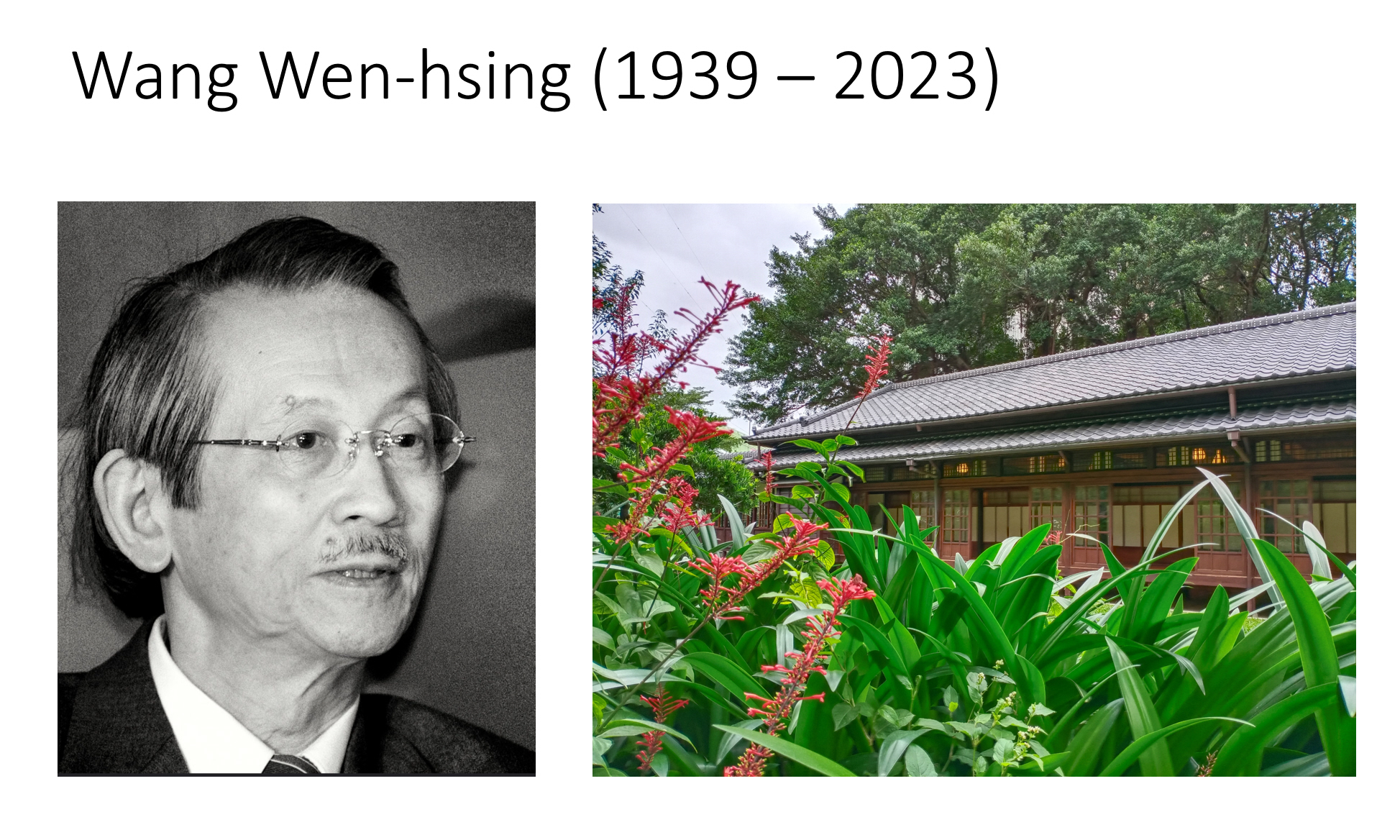Schriftsteller Wang Wen-hsing episode artwork