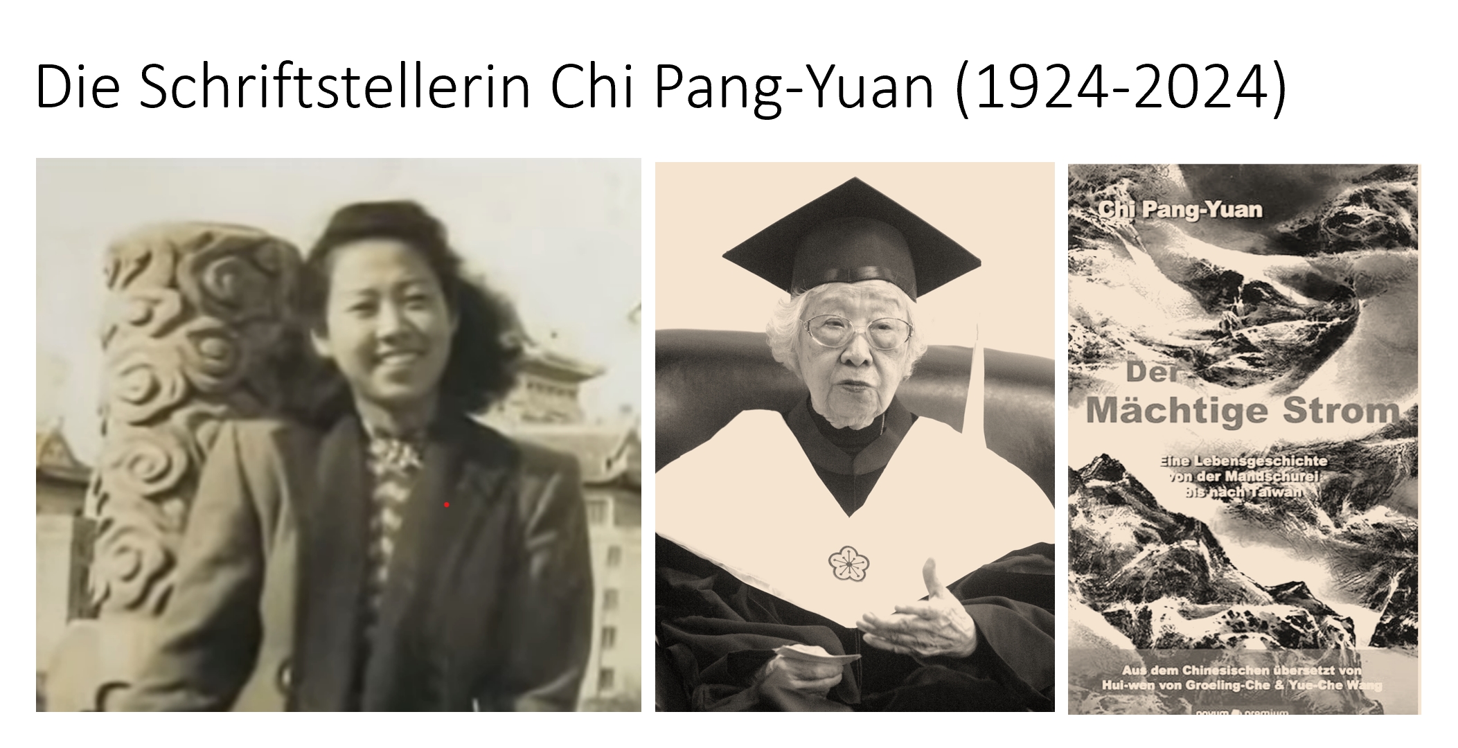 Chi Pang-Yuan episode artwork