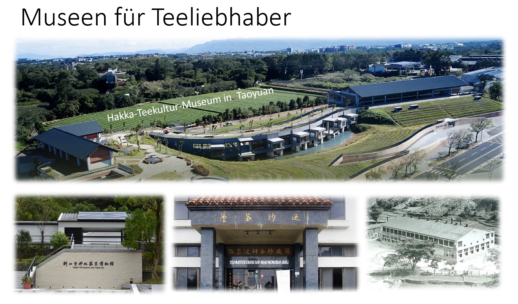 Museen für Teeliebhaber episode artwork