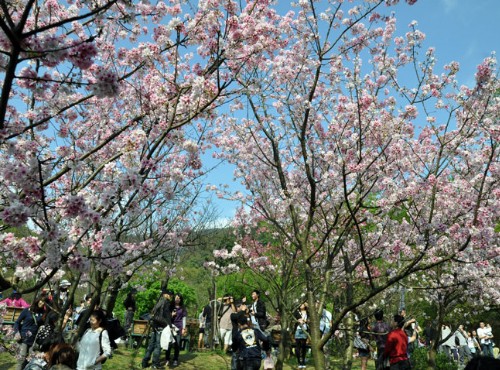 Tour de Yangmingshan episode artwork