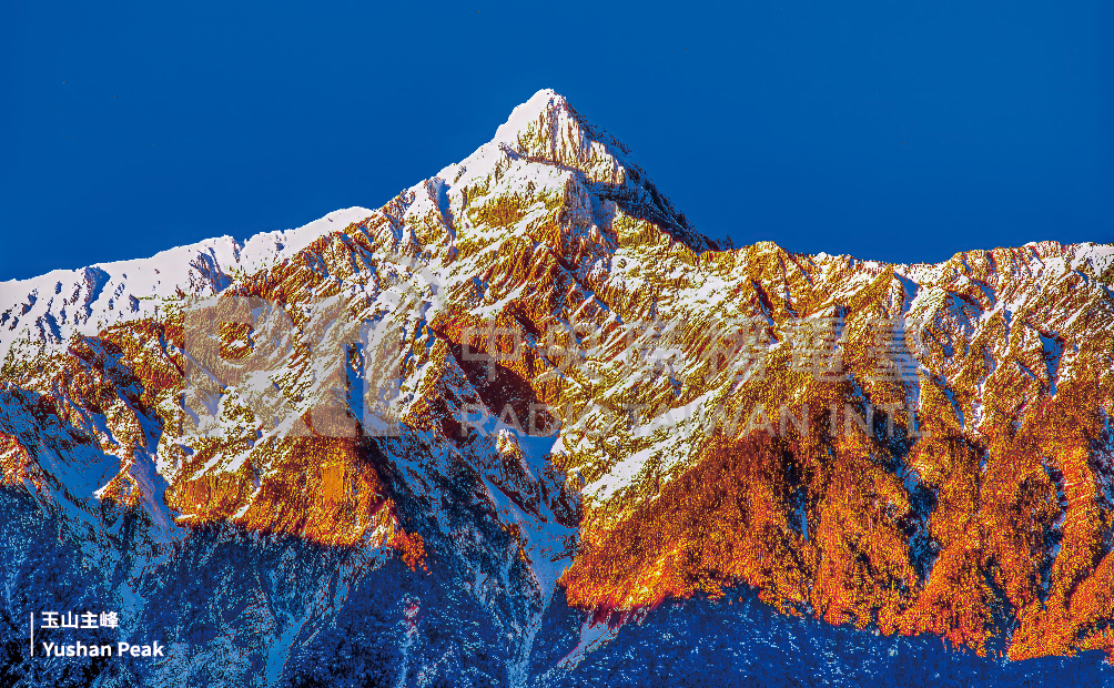 QSL-Karte Januar 2025