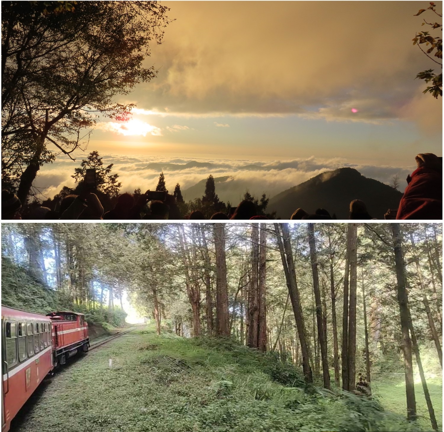 Winterliche Reise im Alishan-Gebirge episode artwork