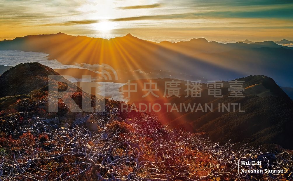 QSL-Karte Februar 2025