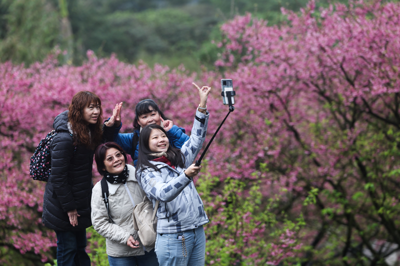 Vor den Kirschbäumen haben die Leute große Lust, Fotos zu machen. (Bild: CNA)