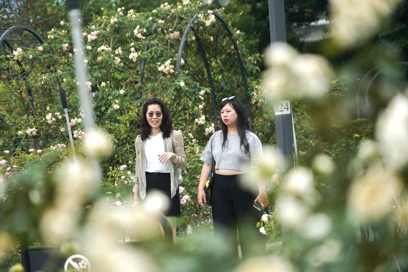 Frühling im Rosengarten in Taipei (Foto: CNA)