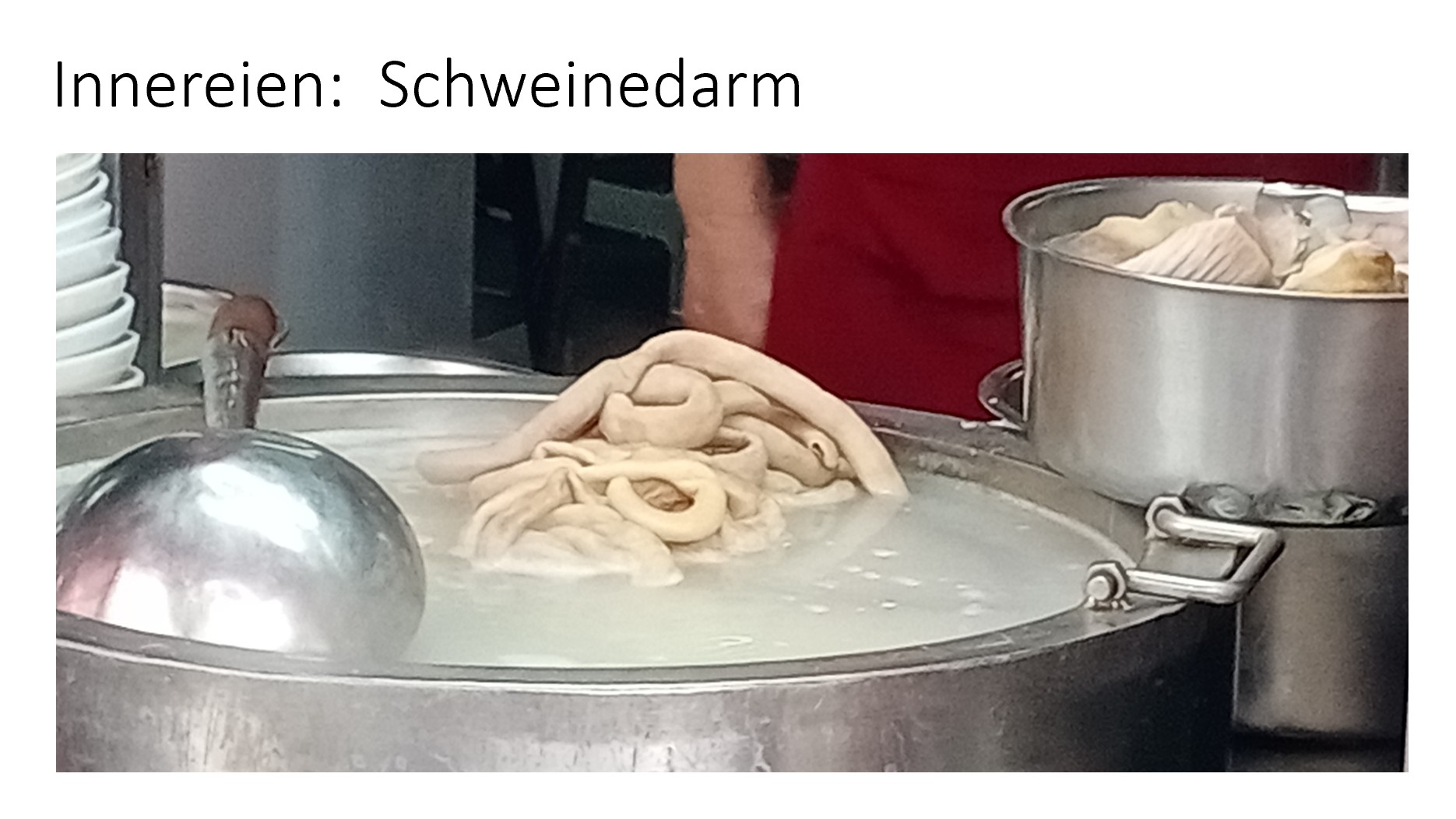 Innereien - Schweinedarm