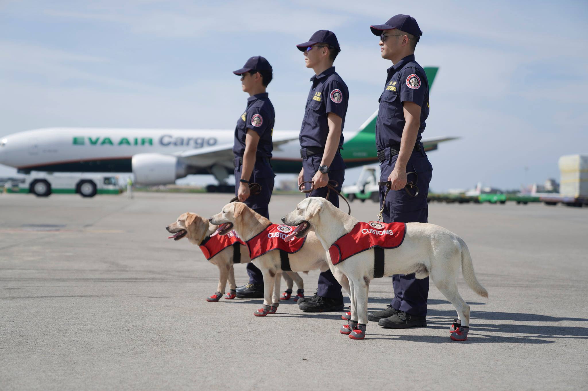 Zollhunde am Flughafen in Taiwan (Facebook: 海關緝毒犬)