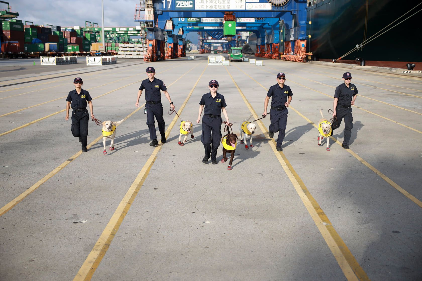 Zollhunde am Hafen in Taiwan, wo Bond auch tätig war (Facebook: 海關緝毒犬)