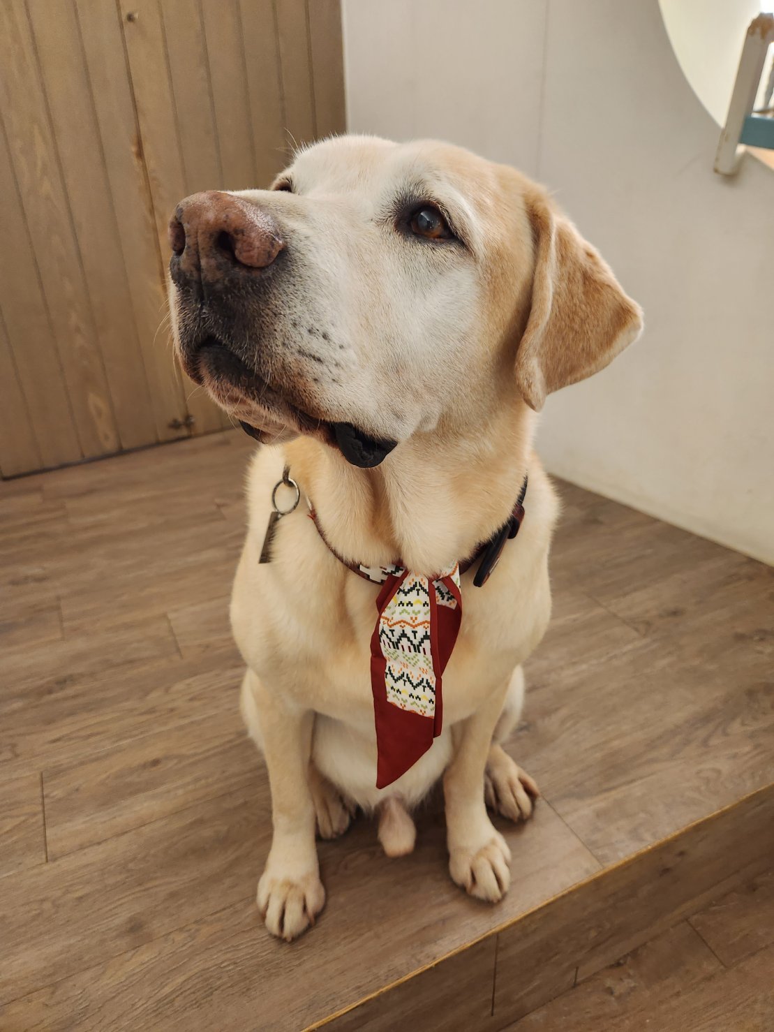 Chinese New Year is coming soon (Foto: Woofhotel)