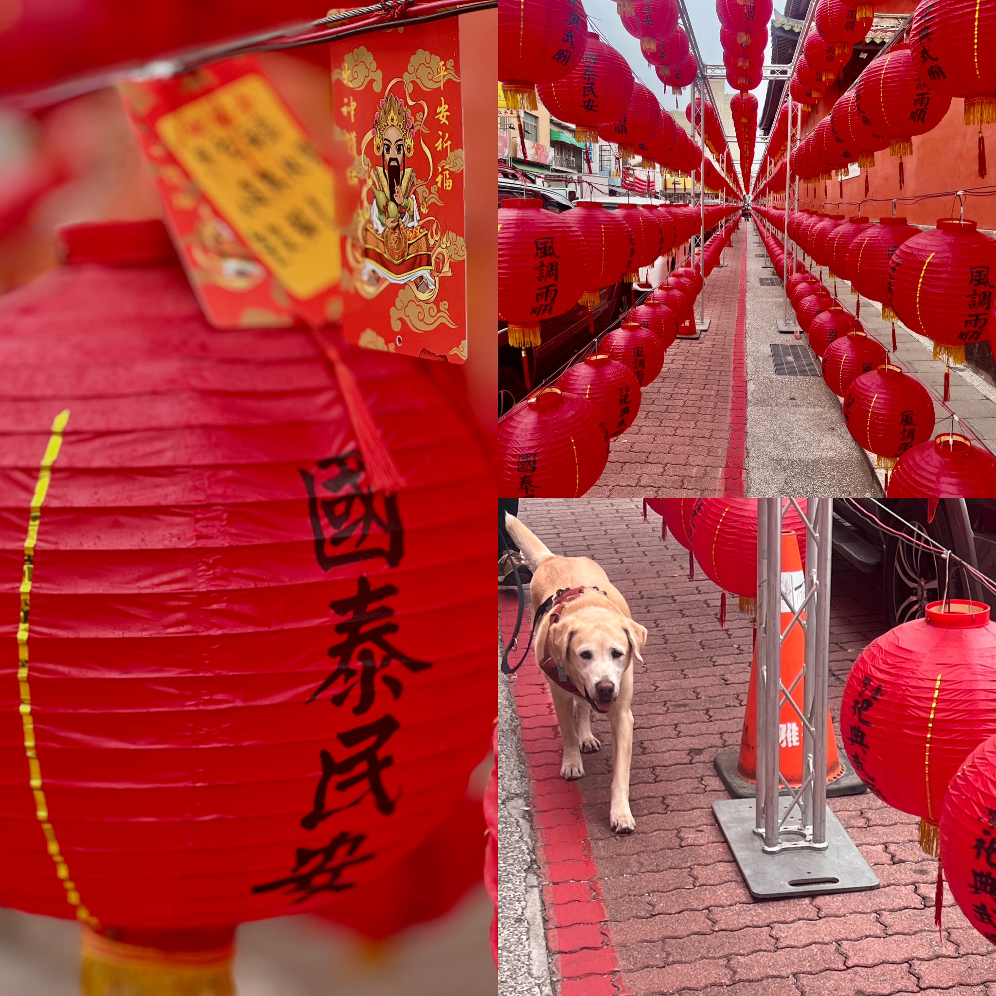 Laternengang am Tempel des Kriegsgottes (God of war temple) in Tainan (Foto: Christiane Blohm)