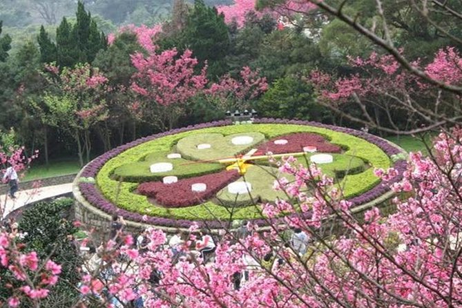 Paradies für Blumenfreunde - der Nationalpark Yangmingshan