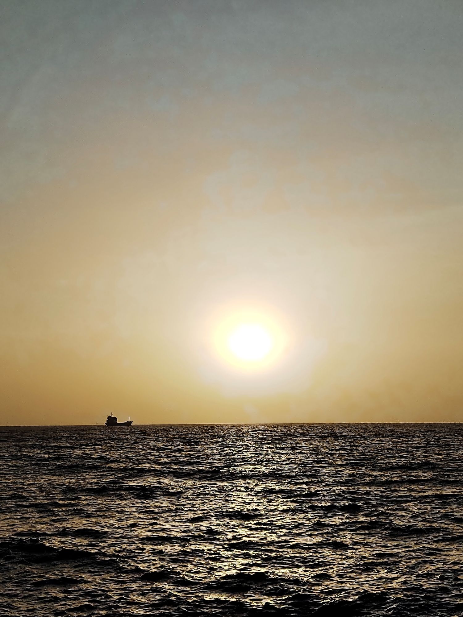 Entspannen an der Küste (Foto: Frederik Springmann)