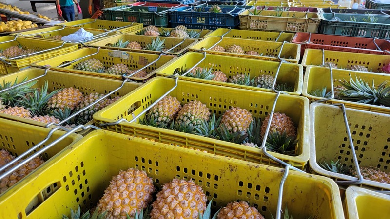Taiwan has achieved a significant milestone in its agricultural trade as it begins exporting fresh pineapples to New Zealand. (Photo: CNA)
