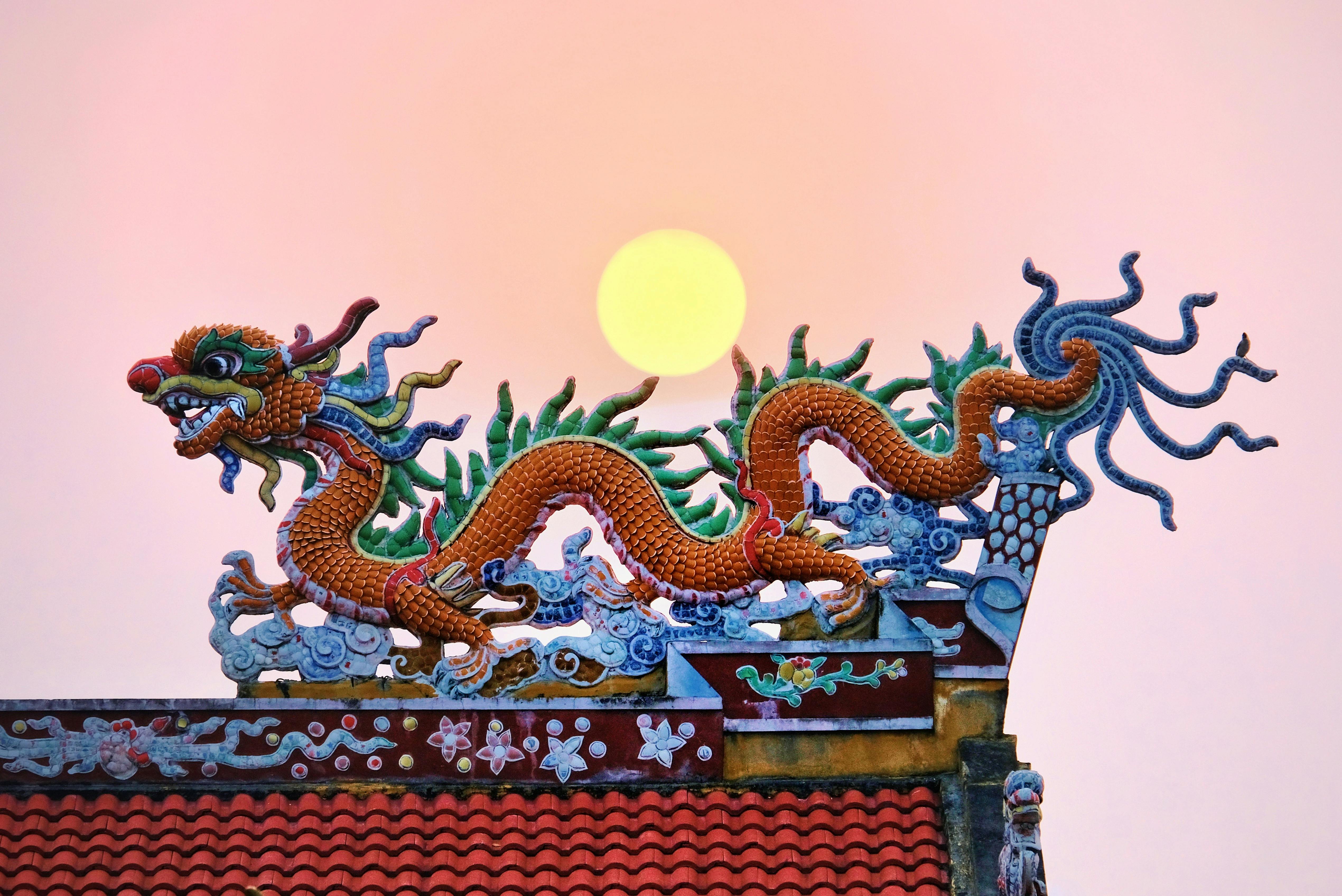 Origins of the dragon: What animals inspired its creation? | Ep4