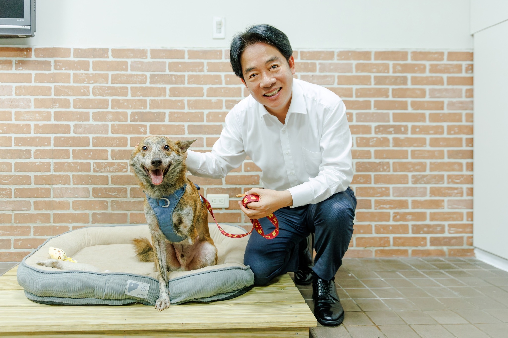 President Lai's amputee dog and "less-adoptable" pets | Ep11