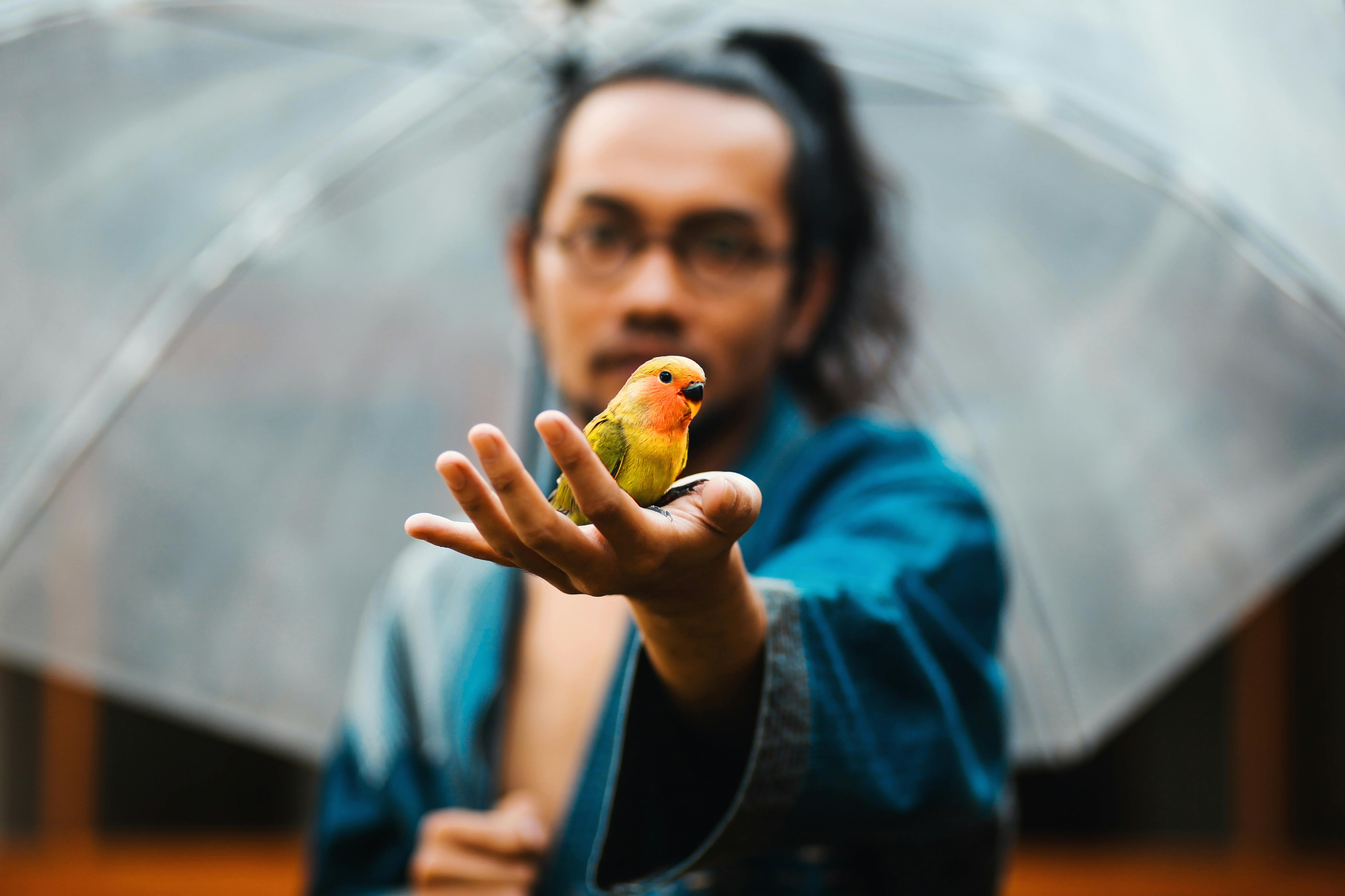 Lovebirds and bird flu | Ep32