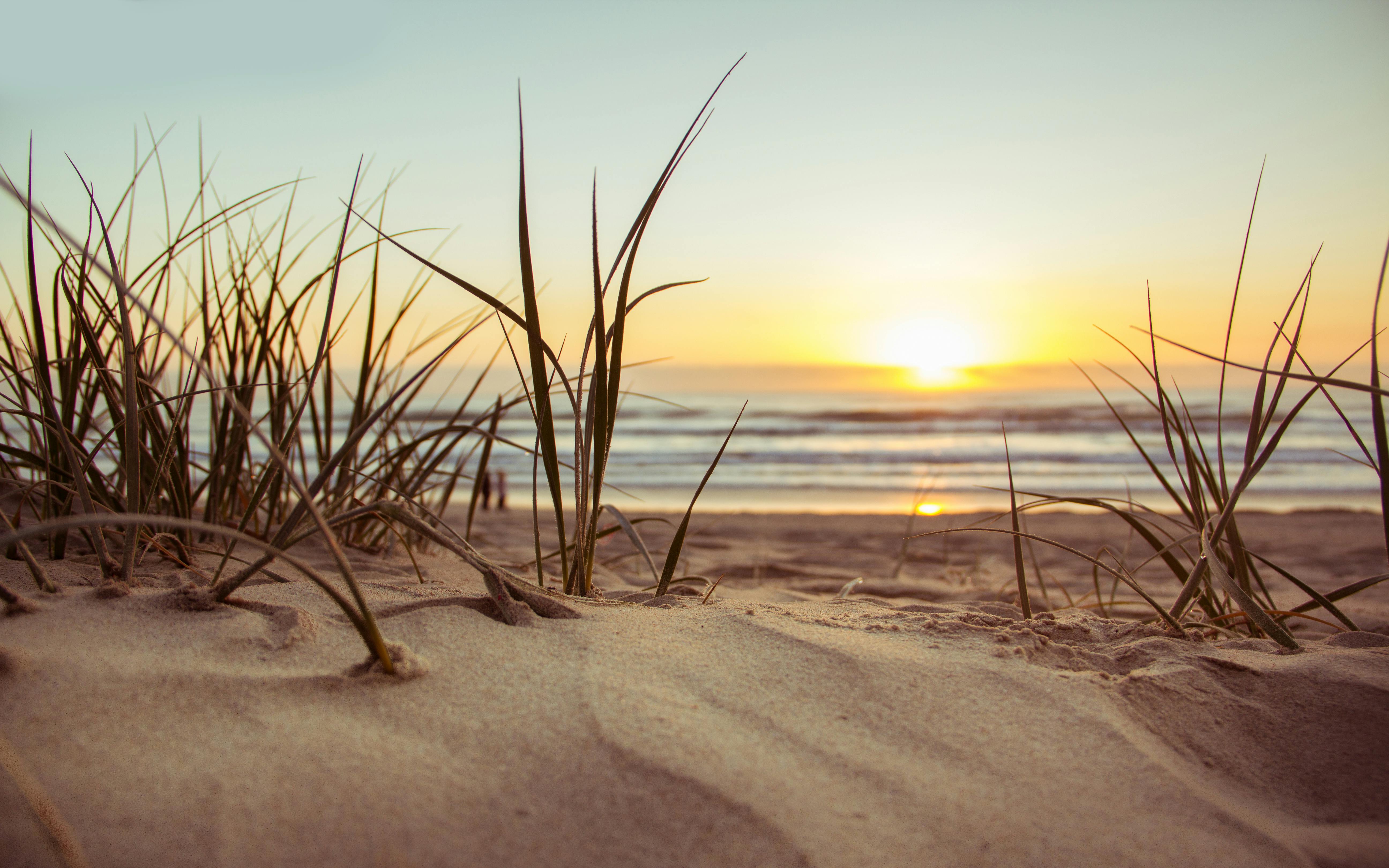 Have you been to the beach yet this summer? (Photo: Nathan Cowley on Pexels)