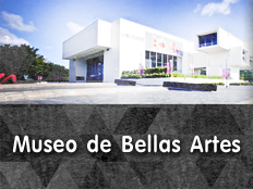 Museo de Bellas Artes