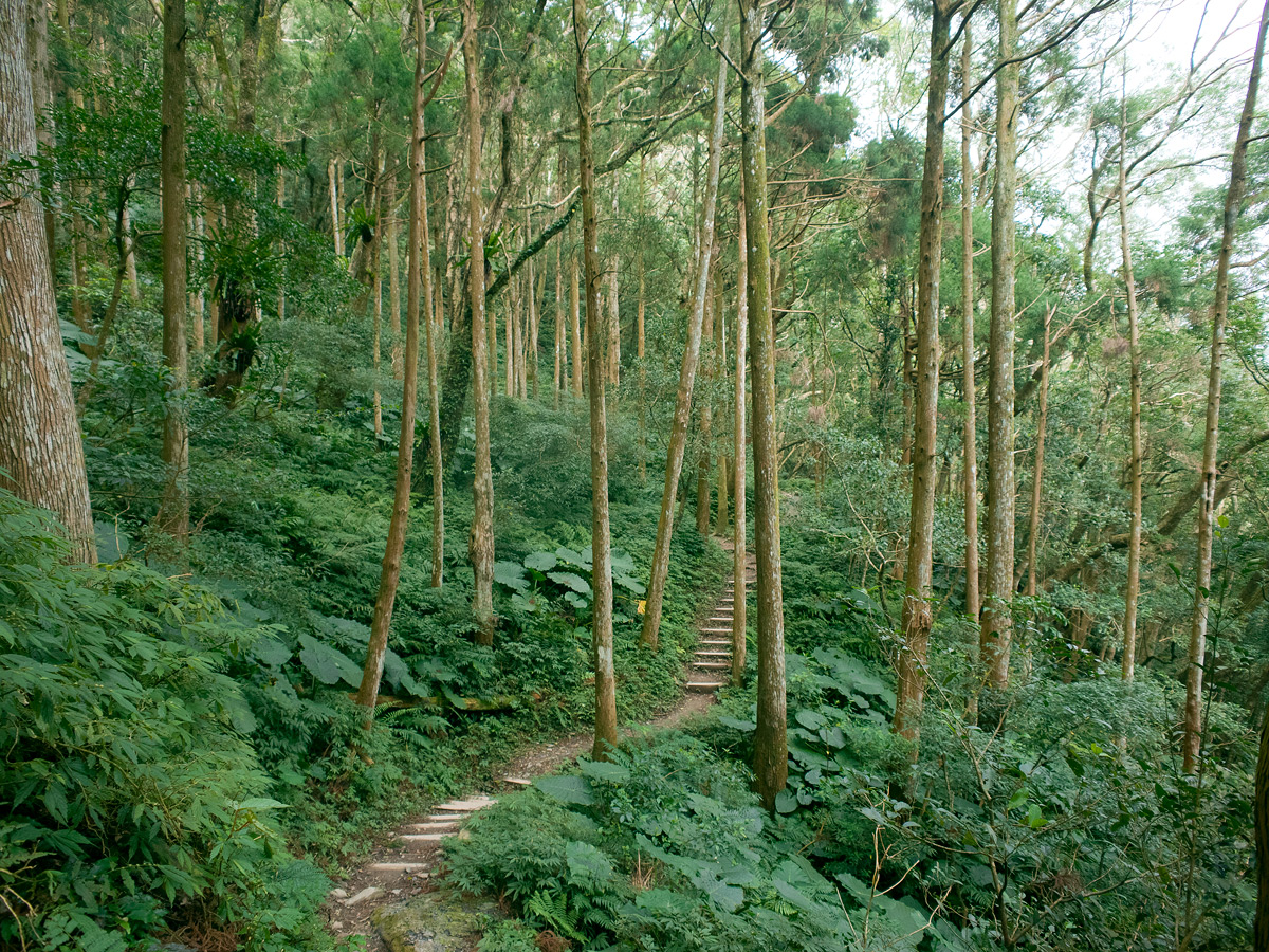 Le chemin de la destinée, sagesse du jeune Wangmian (pour illustration, photo d'archive)