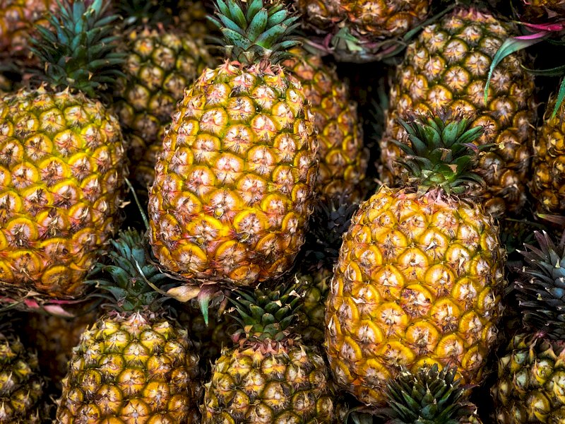 Des ananas (archives, CNA)