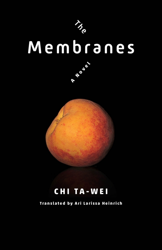 « Membrane » de l'auteur Chi Ta-wei (紀大偉) (Photo CNA)