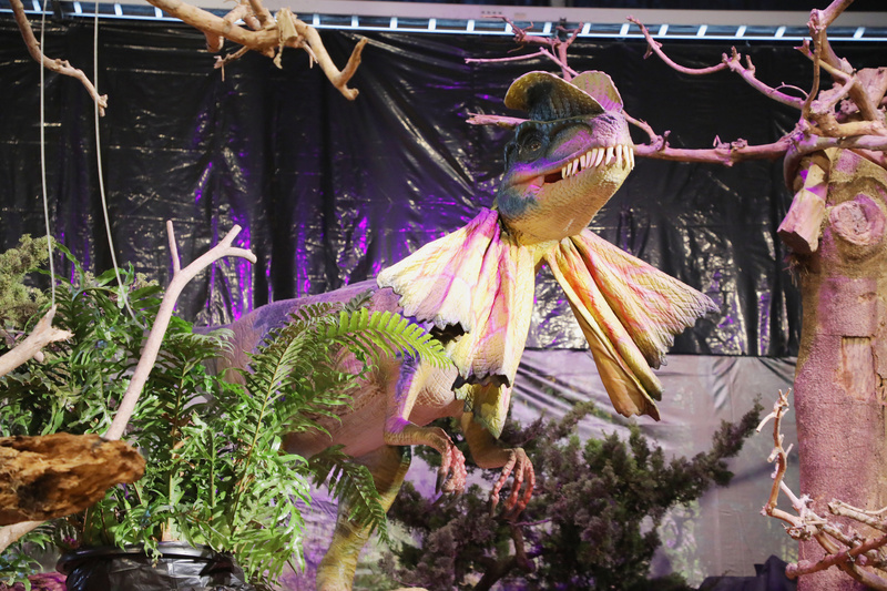 Préparation du salon des Orchidés (Photo CNA)