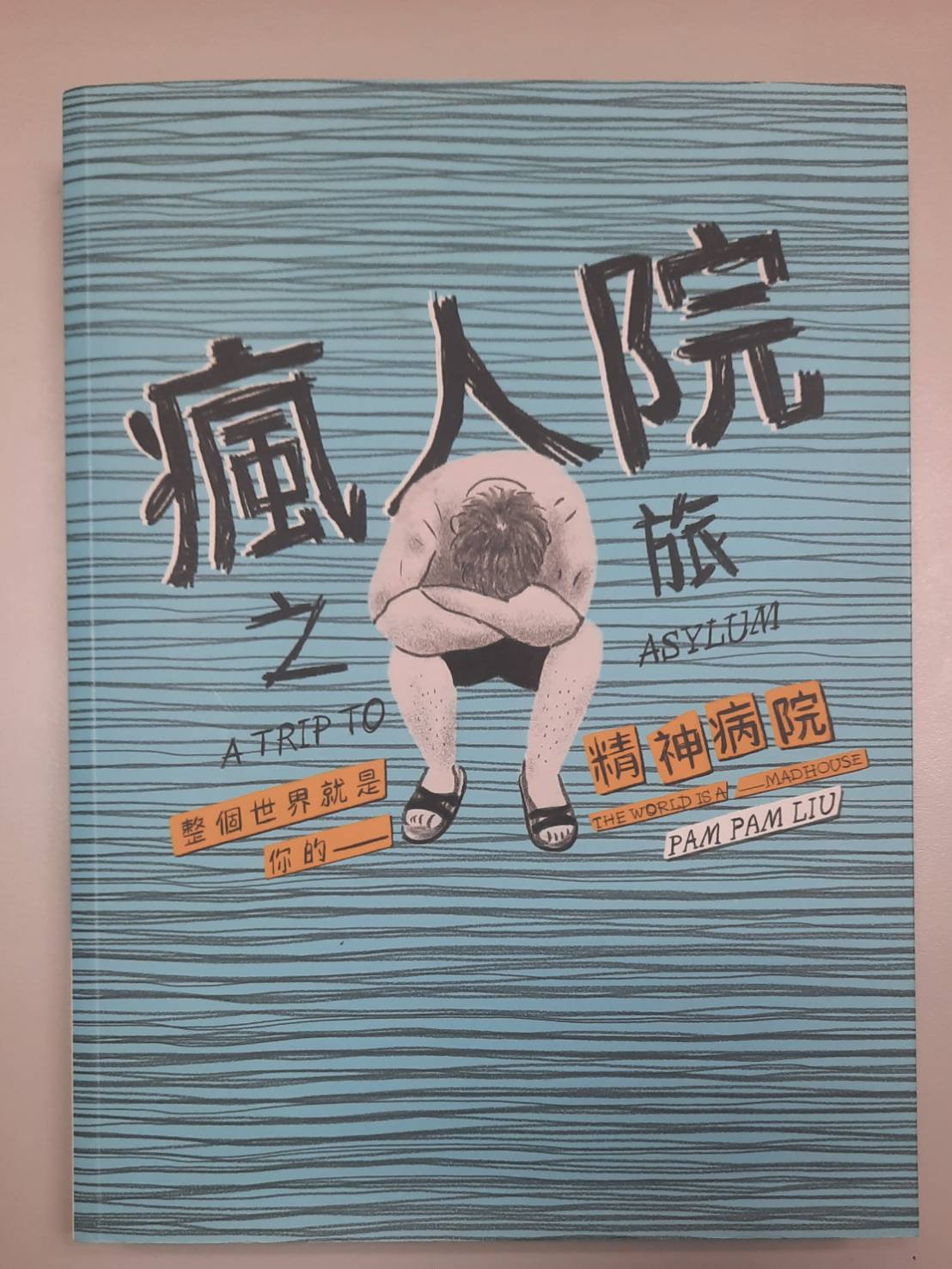 Le roman graphique Asylum, de Pam Pam Liu, sort en France le 22 mars (photo RTI)