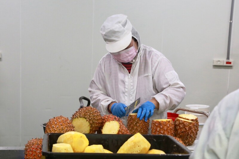 Les ananas font partie des produits que la ville de Tainan exporte vers de Japon (photo CNA)