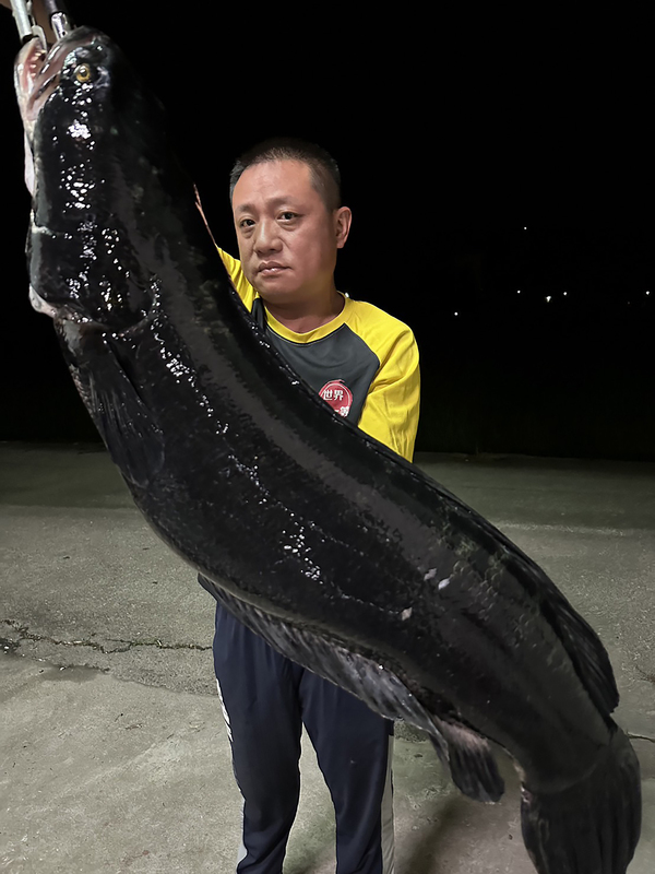 Un poisson-tigre pêché au lac du Soleil et de la Lune (Photo CNA)
