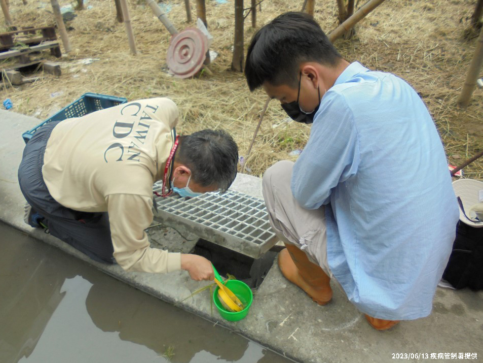 La dengue fait son retour à Tainan (photo, CDC)