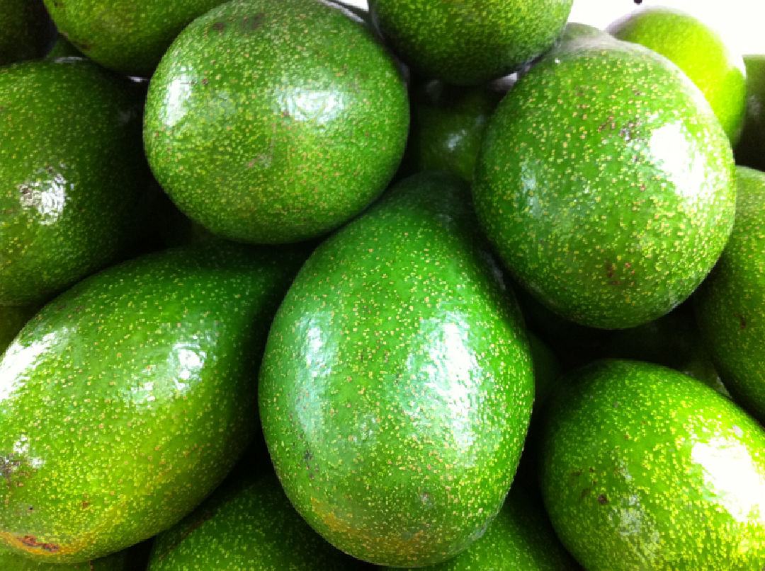 Des avocats boudés episode artwork