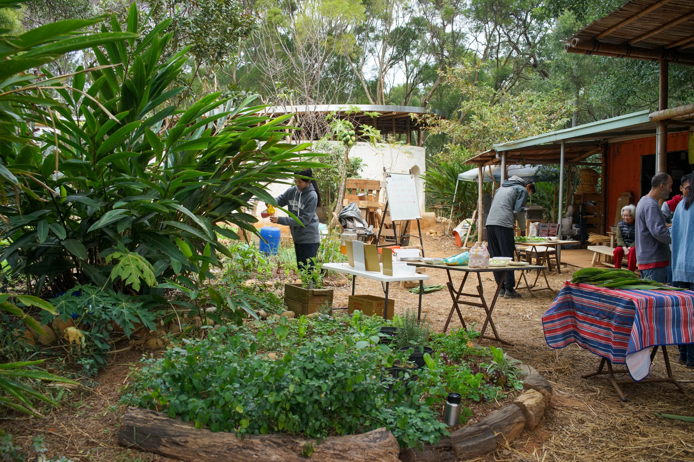 Dans le jardin de l'association de promotion de l'éducation à l'agriculture urbaine de Taichung qui a construit une salle de classe en terre et en bambou (photo : Sasa)