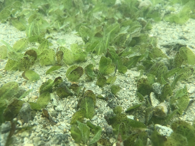 Culture.TW sur Rti/Taïwan