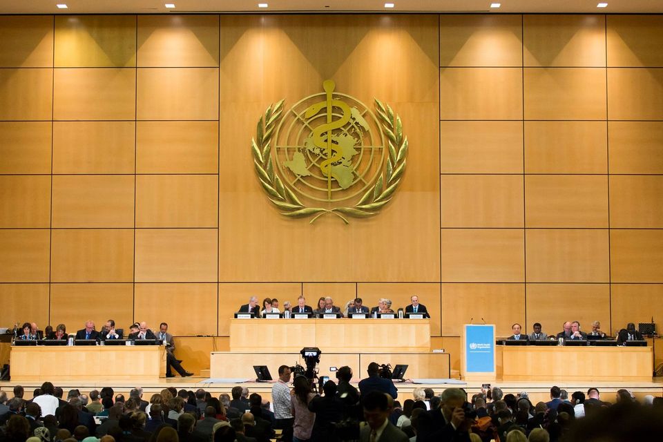 La 77e Assemblée mondiale de la Santé débutera le 27 mai à Genève (photo : AP)