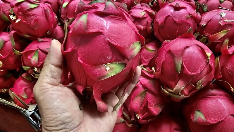 Le Japon ouvre ses portes aux fruits du dragon à chair rouge de Taïwan (photo CNA)