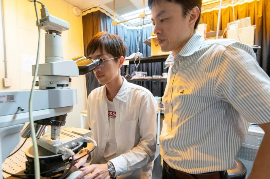 L’équipe de chercheurs taïwanais dirigée par le professeur Lin Tsung-hsien (林宗賢) a développé une nouvelle technique d'électrostriction inverse (photo fournie par l'université Sun Yat-sen)