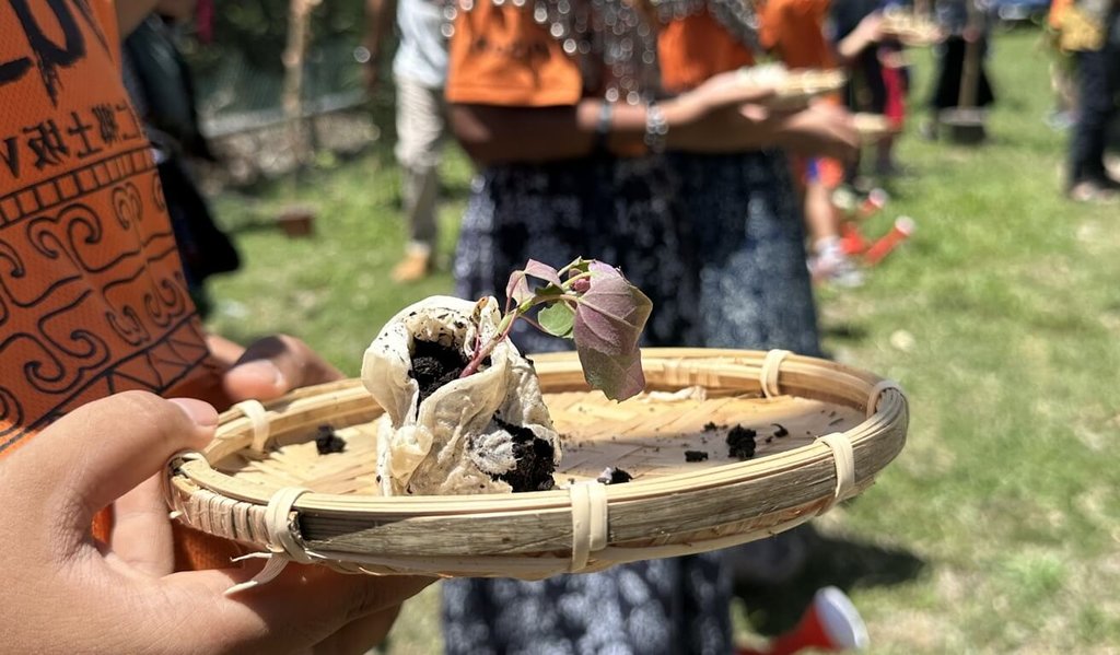 Les graines de Quinoa rouge (Chenopodium formosanum) qui avaient voyagé dans l'espace ont regagné leur comté natal de Pingtung (Photo d'un résident, via CNA)