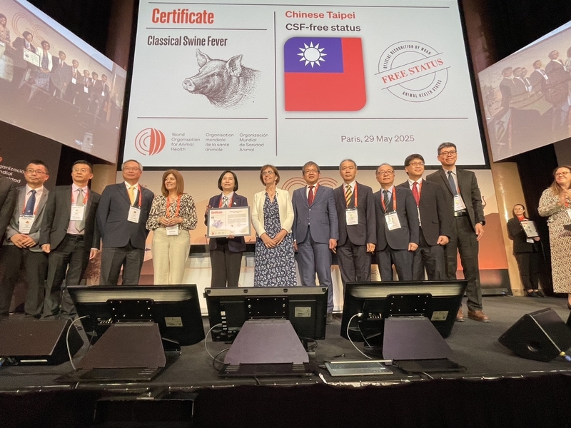 Taïwan, l’unique pays asiatique exempt de trois principales maladies porcines (Photo CNA)