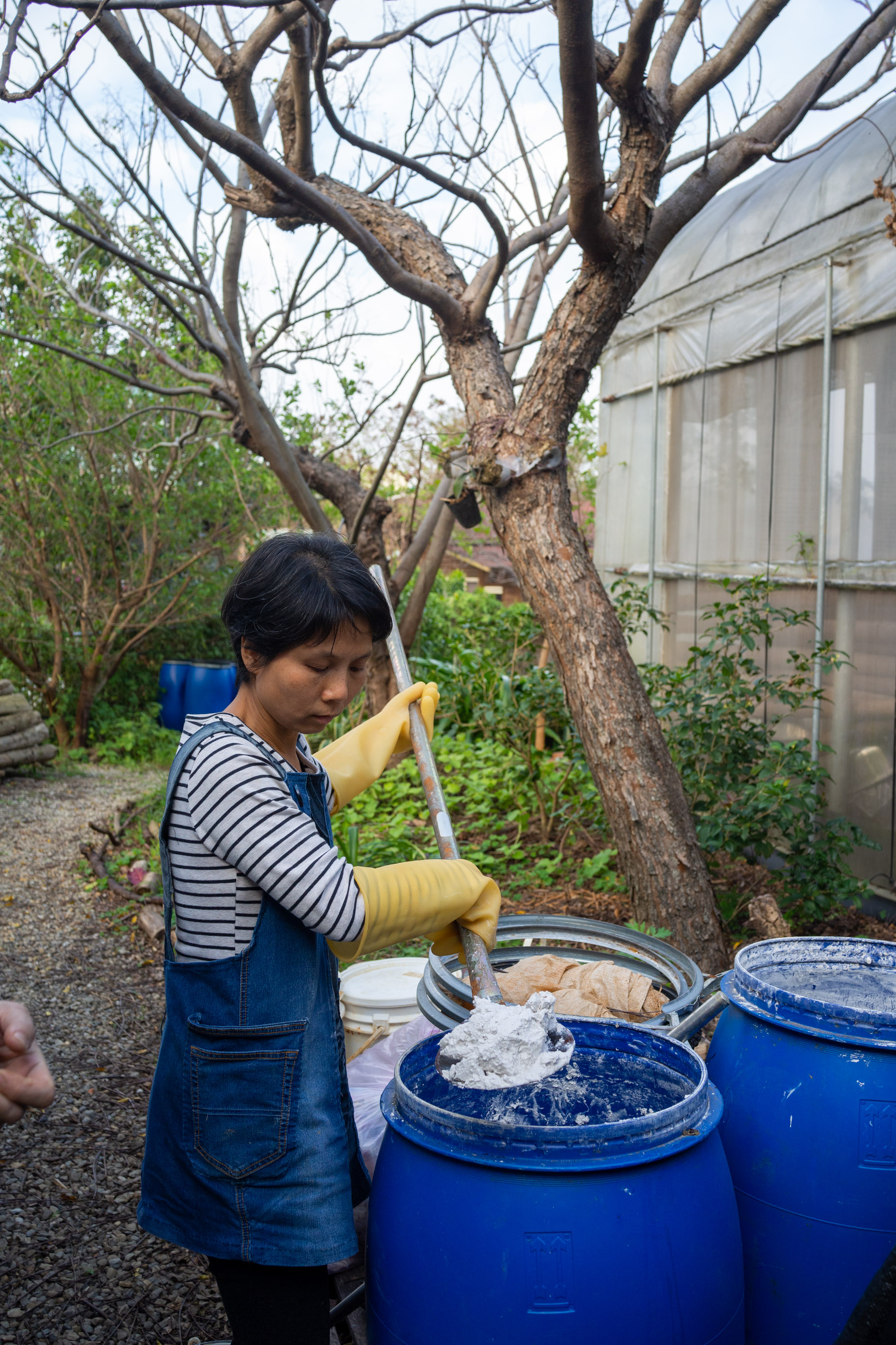 Chaux (oxyde de calcium) © Sasa