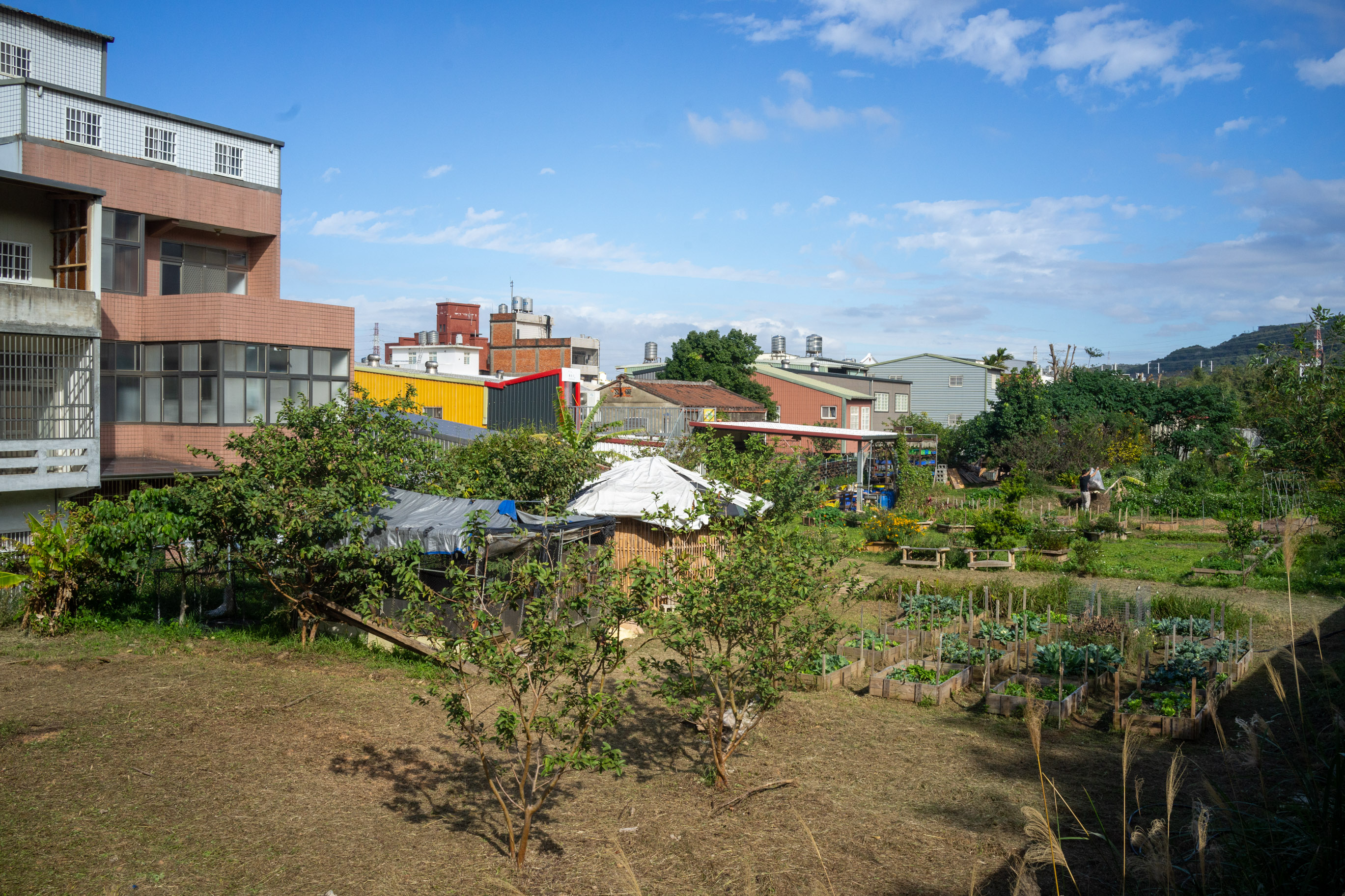 Le jardin sera transformé ces prochains mois selon les principes du design en permaculture © Sasa