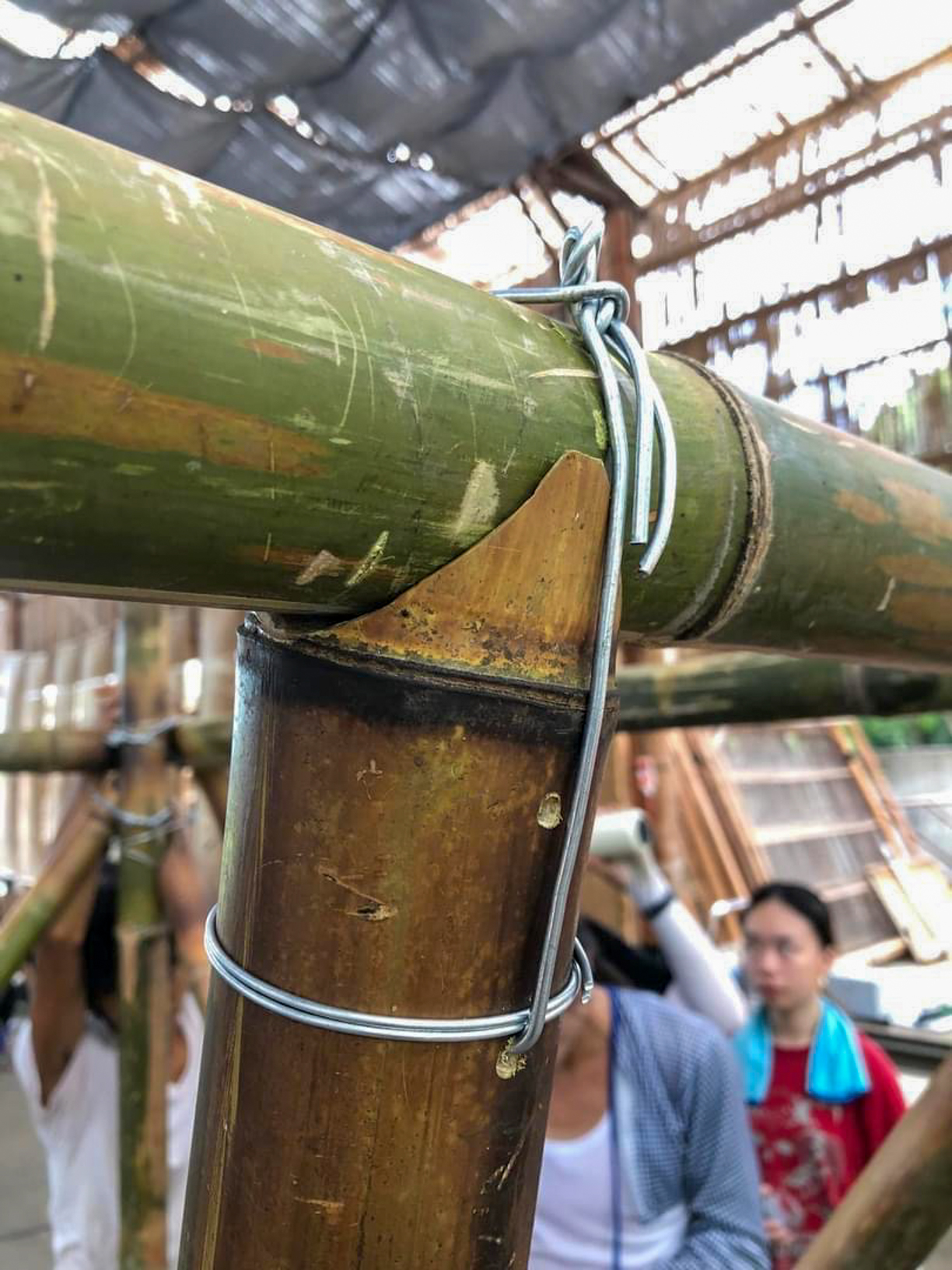 Taille en forme de bouche de poisson (© 唐大可)