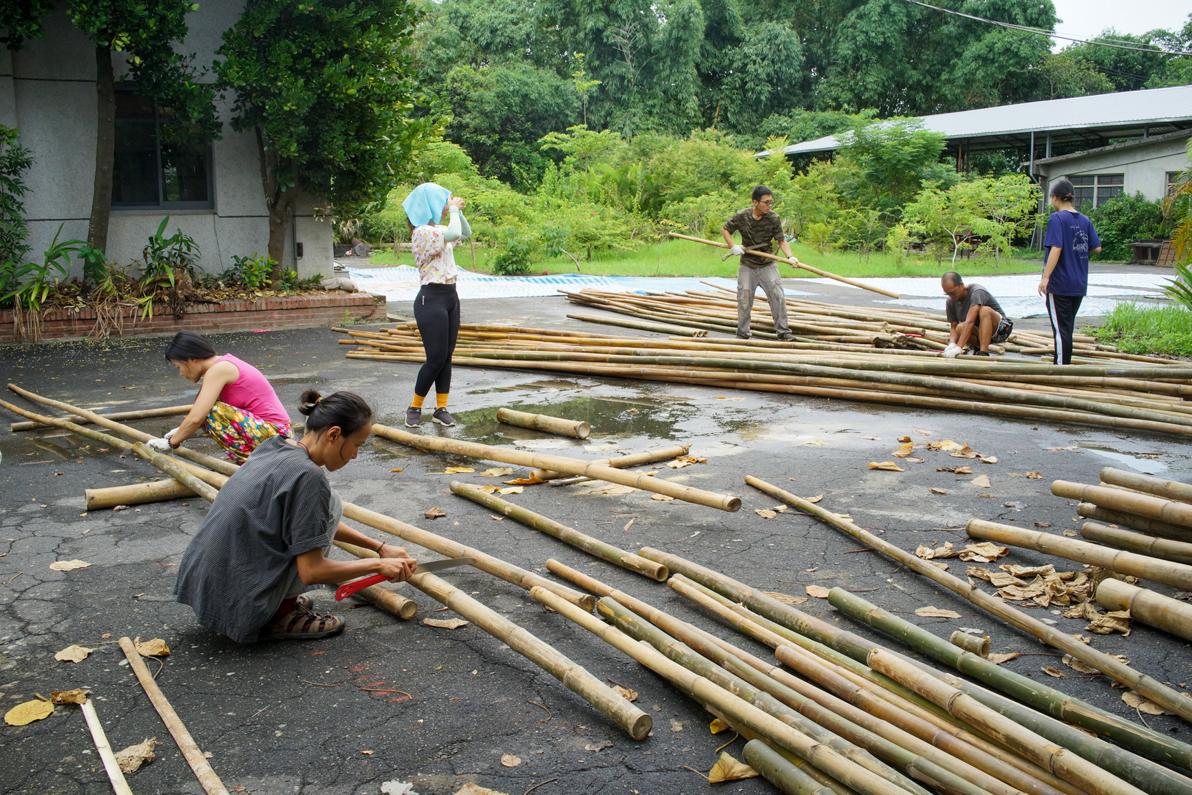 Apprendre à choisir le bambou en fonction de l'emplacement que l'on envisage dans la construction ( © Sasa)