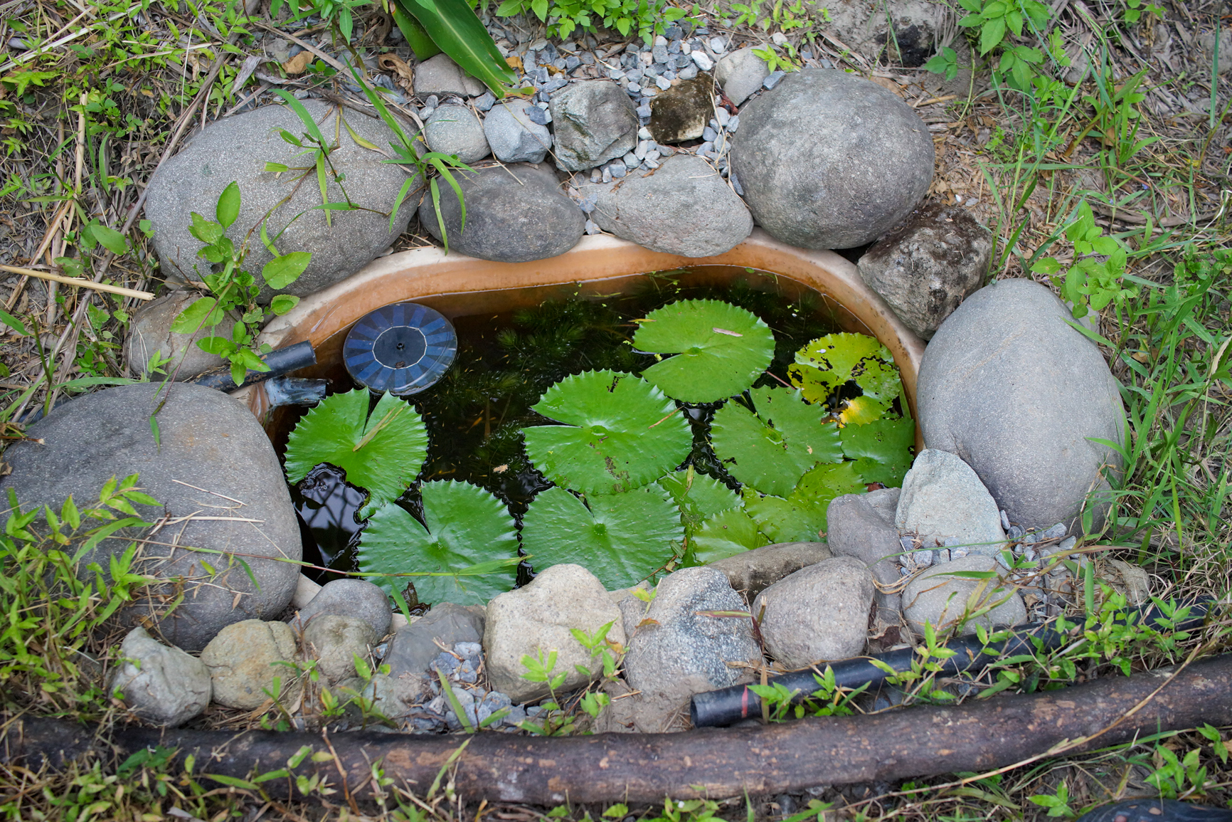 Cette année, Jimmy se concentre sur le jardin : le potager mais aussi les mares écologiques (photo : Sasa)