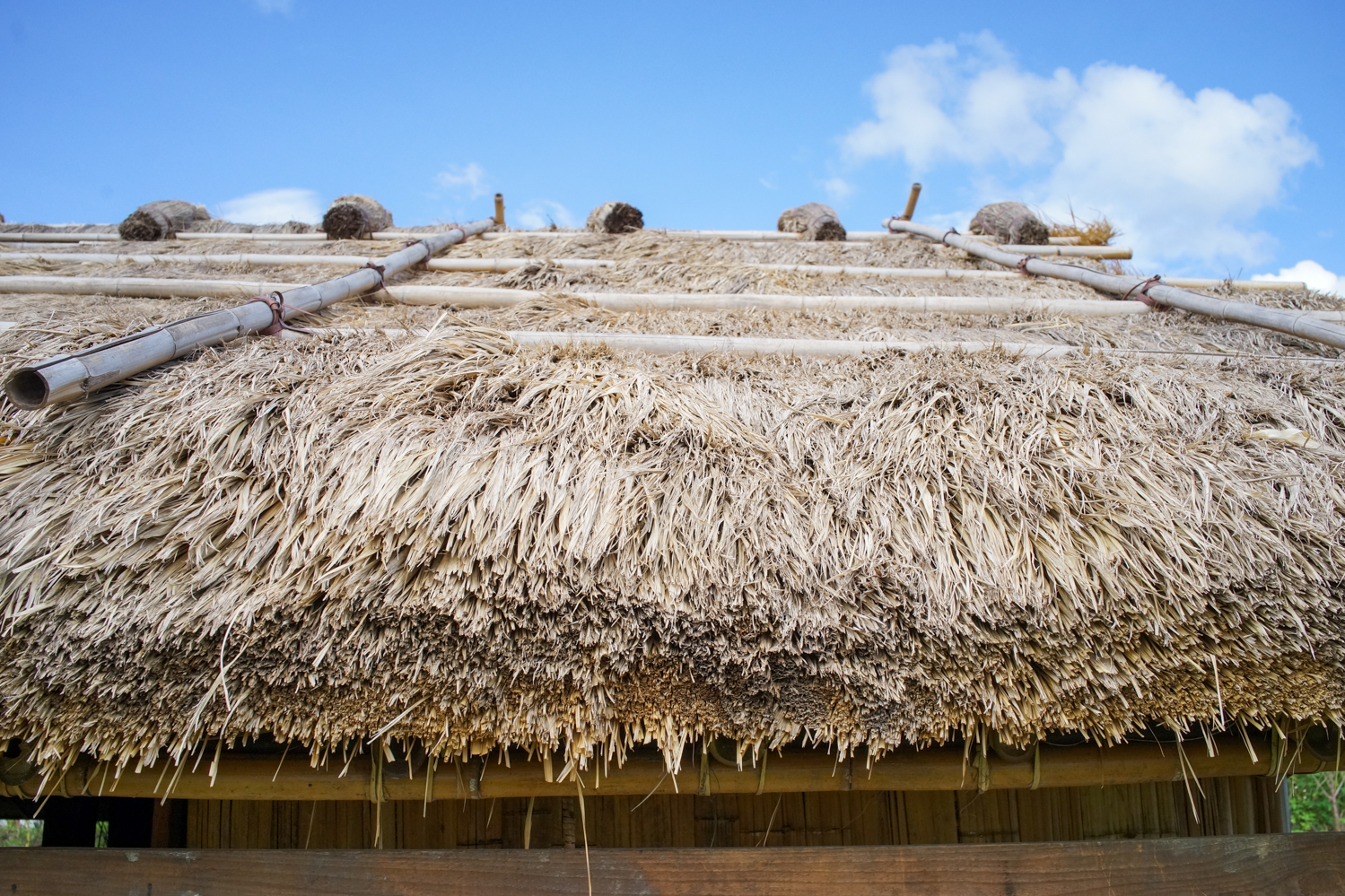C’est le faîte du toit en chaume qui est le plus difficile à réaliser et le plus important pour l’étanchéité (photo : Sasa)