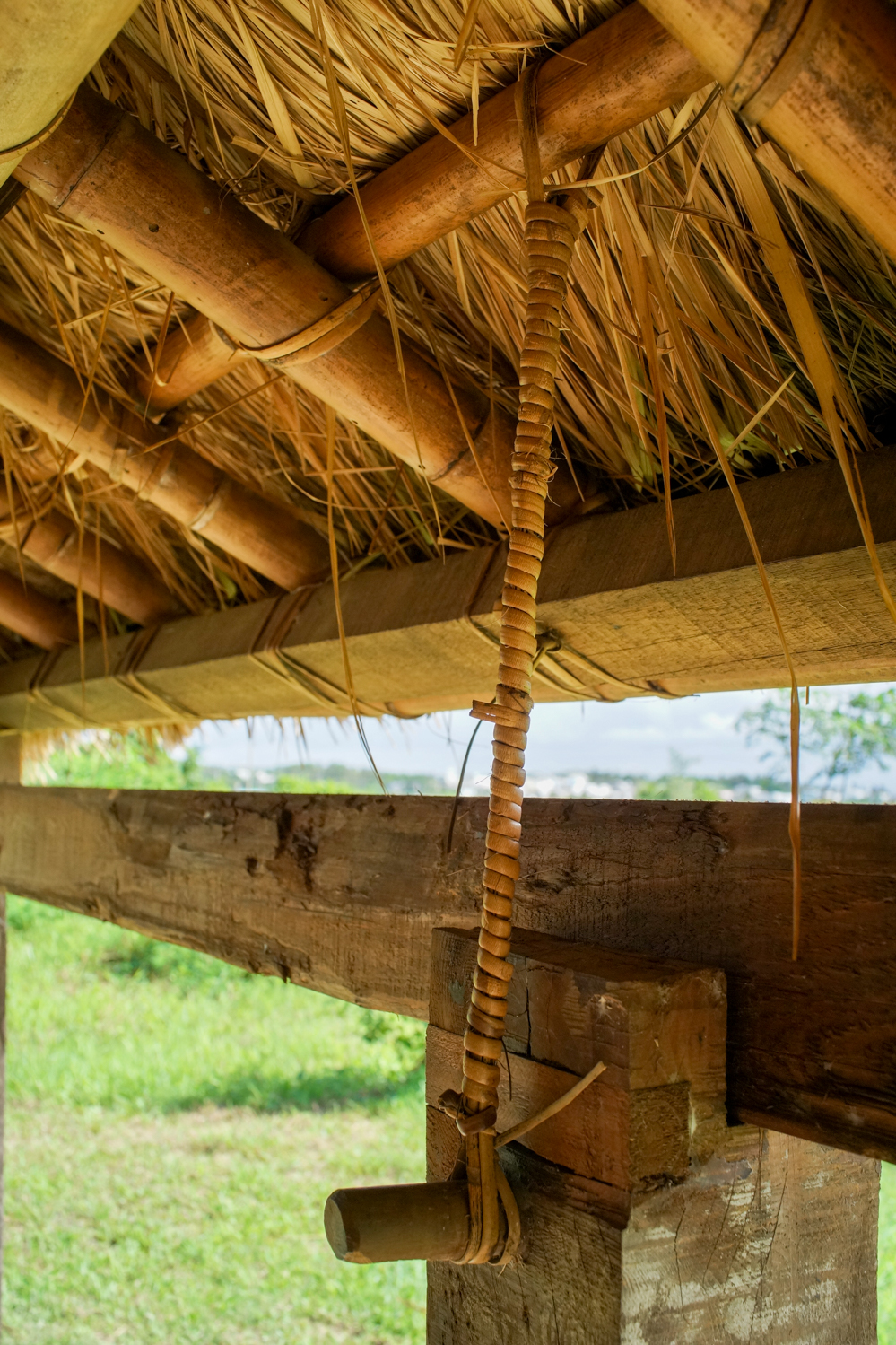 Le rotin sert à nouer le bambou et le chaume (photo : Sasa)