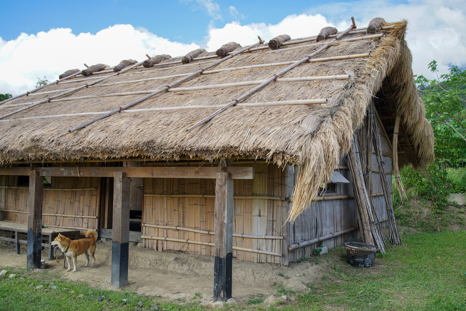 Structure en bambou pour que le chaume ne s’envole pas avec les vents forts (photo : Sasa)