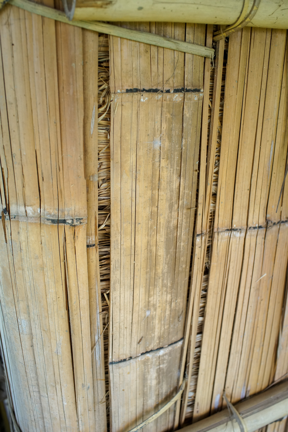 Le chaume se trouve aussi entre les bambous des murs (photo : Sasa)