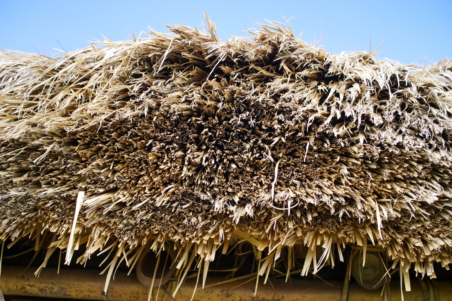 Il faut que le toit soit épais pour qu’il puisse être étanche (photo : Sasa)